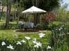 Plantation Lodge - Garden 